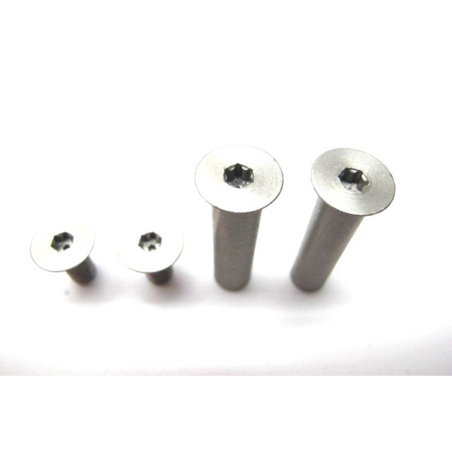 TORNILLO AMORTIGUADOR GENIUS-SPARK 2013 2 UNIDADES