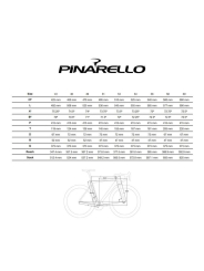 PINARELLO PARIS DISK 105 DB 11v y RACING 900 DB
