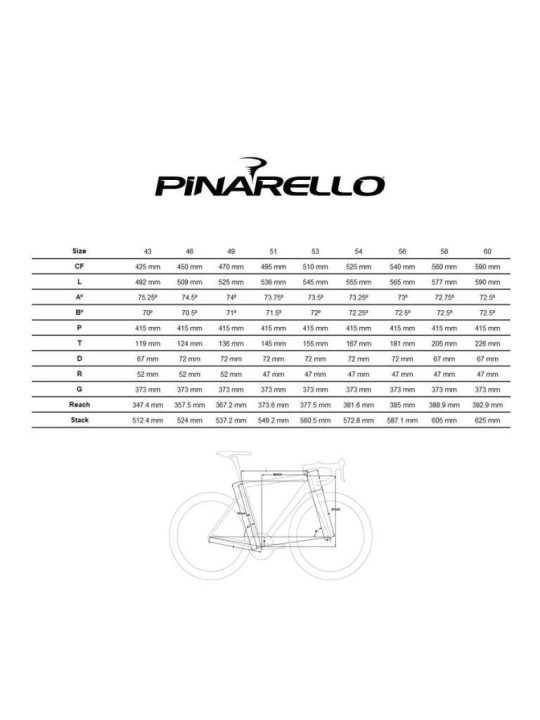 PINARELLO PARIS DISK 105 DB 11v y RACING 900 DB