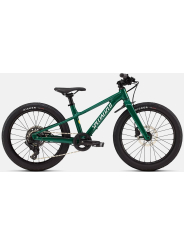 BICICLETA SPECIALIZED RIPROCK 20