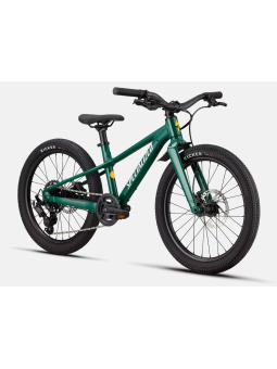 BICICLETA SPECIALIZED RIPROCK 20