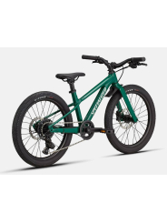 BICICLETA SPECIALIZED RIPROCK 20