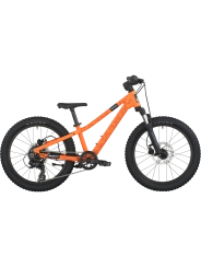 ✅ SCOTT ROXTER 200: Mejor Bici  20 Pulgadas con Frenos Hidráulicos