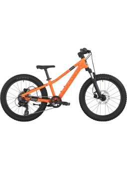 ✅ SCOTT ROXTER 200: Mejor Bici  20 Pulgadas con Frenos Hidráulicos