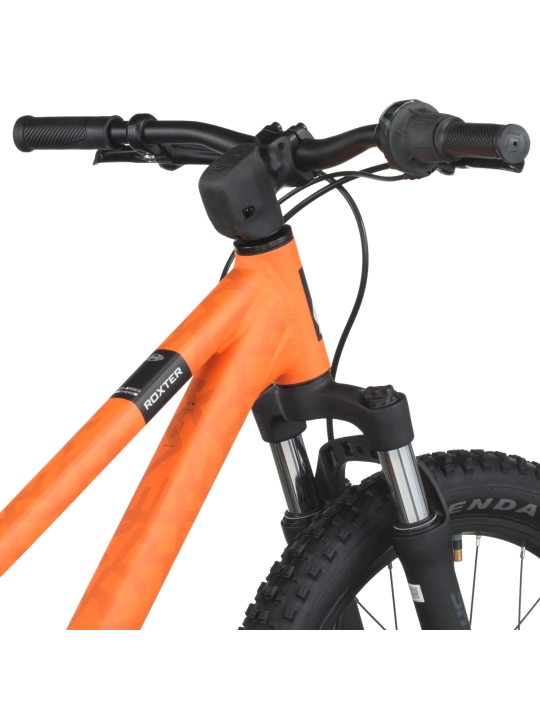 ✅ SCOTT ROXTER 200: Mejor Bici  20 Pulgadas con Frenos Hidráulicos