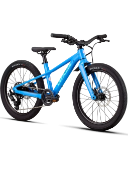 🔒⛰️SPECIALIZED RIPROCK: Eje Pasante & Frenos Hidráulicos