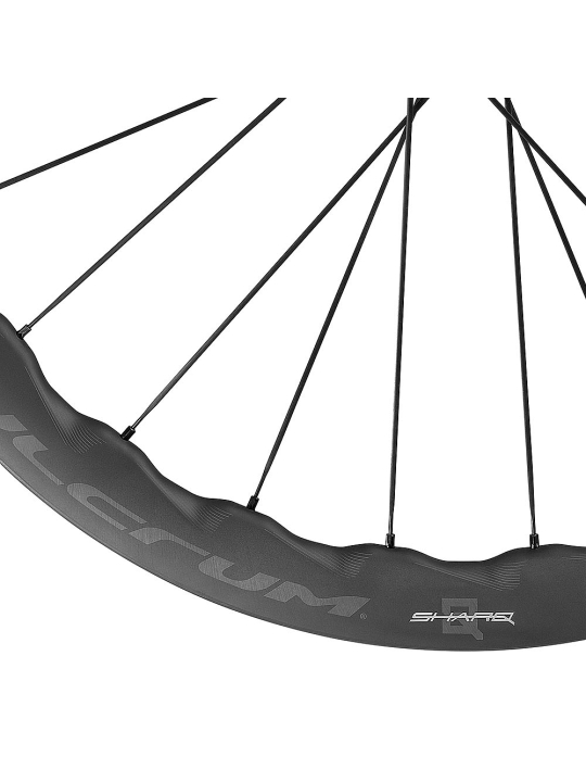 montaje-ruedas-fulcrum-sharq-carbon-al-limite-bicis