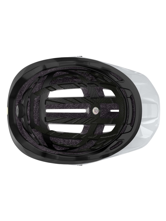 CASCO SCOTT STEGO PLUS