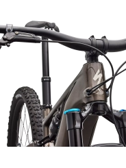 BICICLETA SPECIALIZED LEVO R COMP CARBON