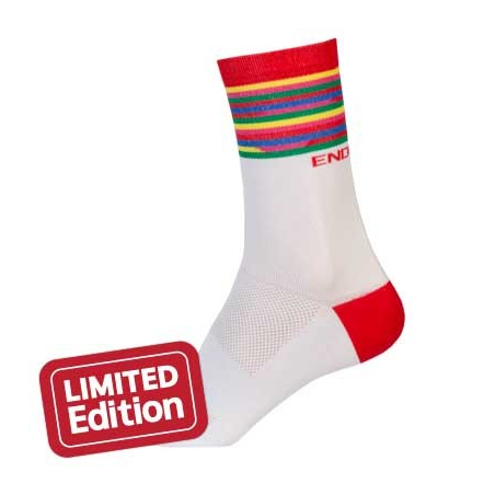 CALCETINES ENDURA PINSTRIPE